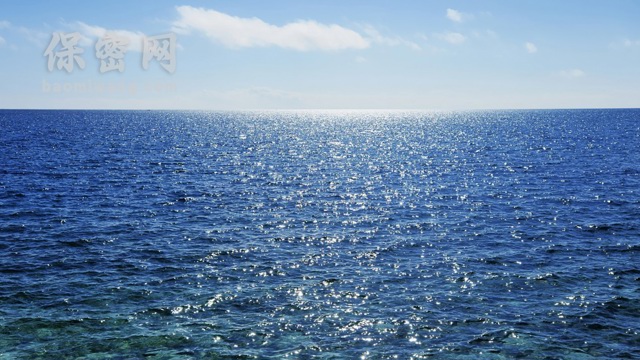 明星追逐背后：个人信息安全与法律制裁