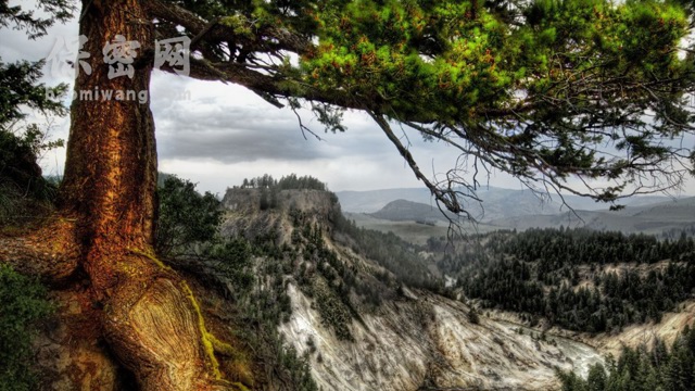 卫星定位技术引发商业机密泄露风险