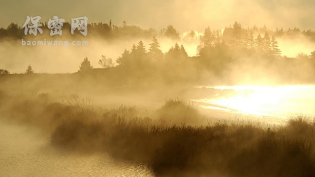 保密咨询：确保信息安全的重要性