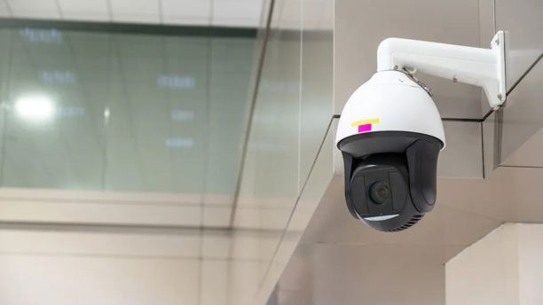 热知识！你该怎么抓特务